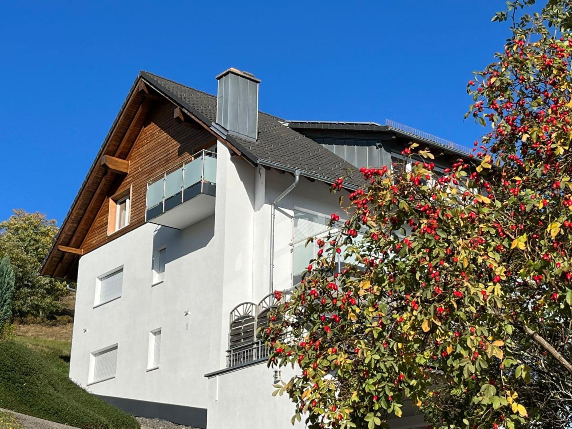 Apartment Schwarzwaldblick I By Interhome Bernau im Schwarzwald Ngoại thất bức ảnh